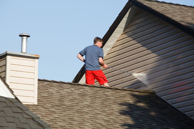 Cedar Shake Roof Cleaning detail