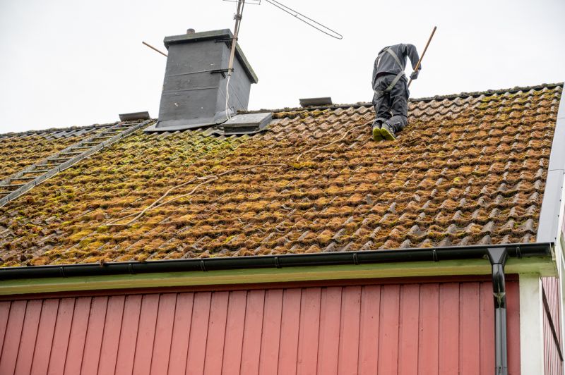 Roof Fungus Removal