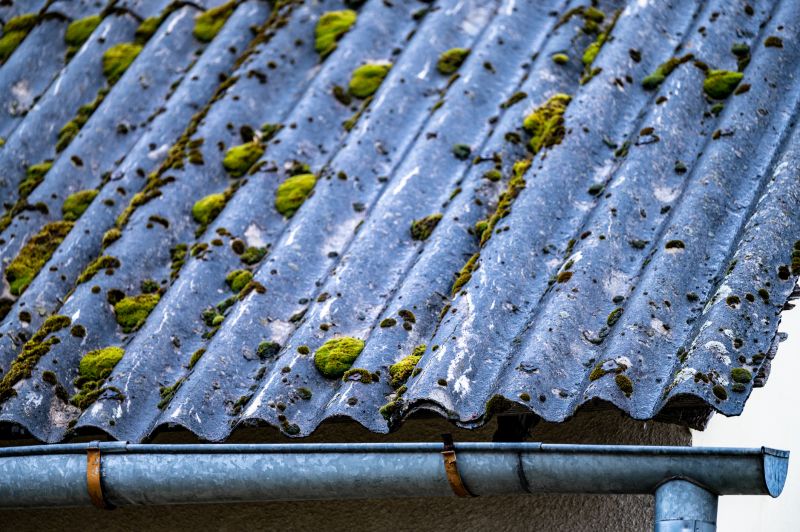 Roof Fungus Removal