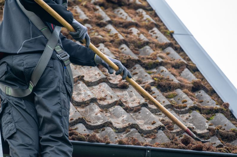 Roof Fungus Removal