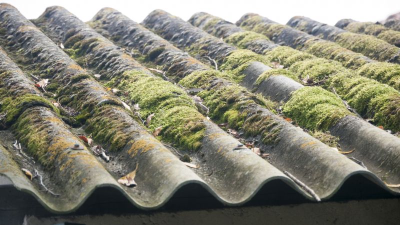 Roof Mildew Removal