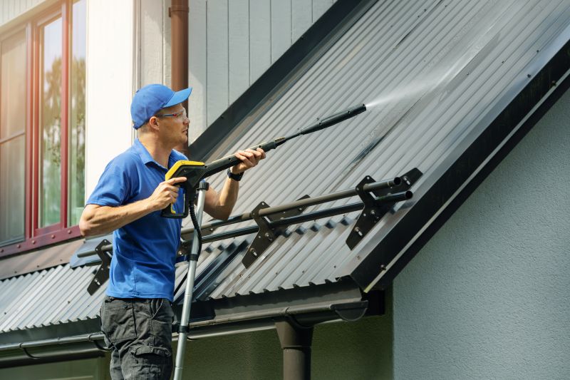 Roof Mildew Removal