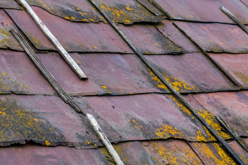 Roof Mildew Removal