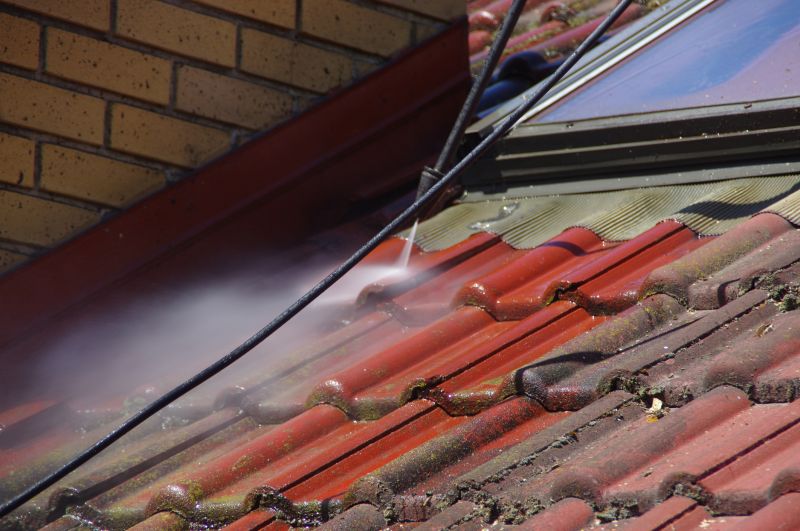Roof Mildew Removal