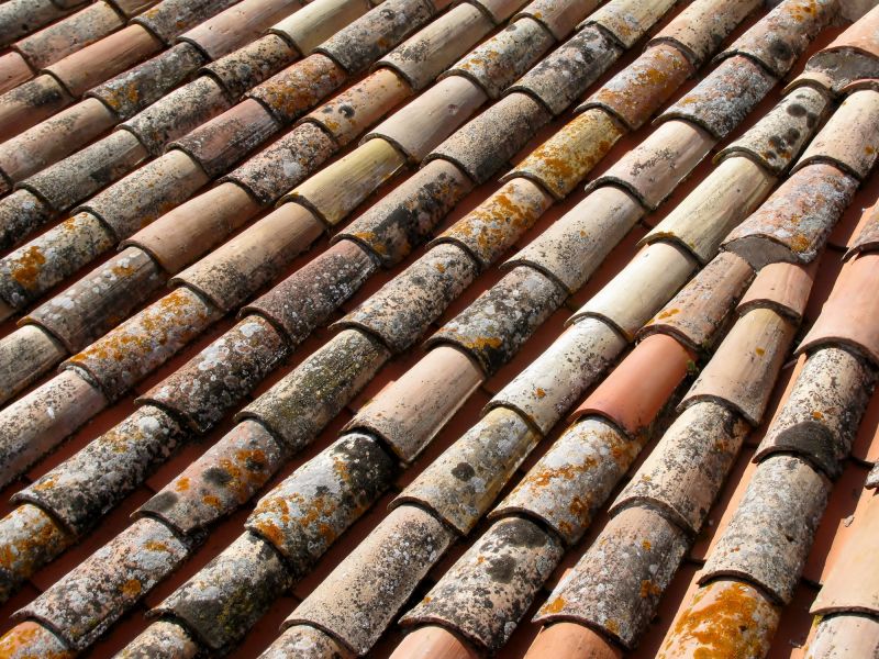 Roof Mildew Removal